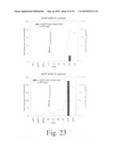 Anthrax carbohydrates, synthesis and uses thereof diagram and image