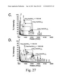 Anthrax carbohydrates, synthesis and uses thereof diagram and image