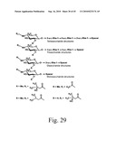 Anthrax carbohydrates, synthesis and uses thereof diagram and image