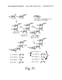 Anthrax carbohydrates, synthesis and uses thereof diagram and image