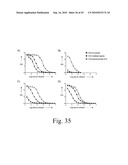 Anthrax carbohydrates, synthesis and uses thereof diagram and image