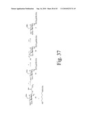 Anthrax carbohydrates, synthesis and uses thereof diagram and image