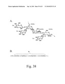 Anthrax carbohydrates, synthesis and uses thereof diagram and image