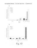 Anthrax carbohydrates, synthesis and uses thereof diagram and image