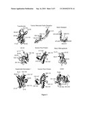 METHODS AND SYSTEMS FOR PREDICTING MISFOLDED PROTEIN EPITOPES diagram and image