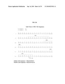 ANTIBODIES AGAINST CLOSTRIDIUM DIFFICILE TOXINS AND USES THEREOF diagram and image