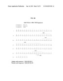 ANTIBODIES AGAINST CLOSTRIDIUM DIFFICILE TOXINS AND USES THEREOF diagram and image