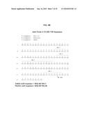 ANTIBODIES AGAINST CLOSTRIDIUM DIFFICILE TOXINS AND USES THEREOF diagram and image