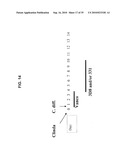 ANTIBODIES AGAINST CLOSTRIDIUM DIFFICILE TOXINS AND USES THEREOF diagram and image