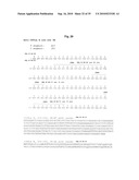 ANTIBODIES AGAINST CLOSTRIDIUM DIFFICILE TOXINS AND USES THEREOF diagram and image