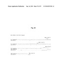 ANTIBODIES AGAINST CLOSTRIDIUM DIFFICILE TOXINS AND USES THEREOF diagram and image