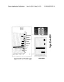 GENE PRODUCTS DIFFERENTIALLY EXPRESSED IN CANCEROUS CELLS diagram and image