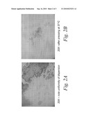 USE OF CRYOGENIC PROCESSING TO OBTAIN A SUBSTANTIALLY-THICKENED FORMULATION diagram and image