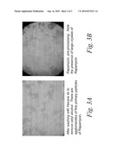 USE OF CRYOGENIC PROCESSING TO OBTAIN A SUBSTANTIALLY-THICKENED FORMULATION diagram and image