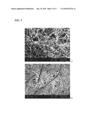 System and method for a hydrogel and hydrogel composite for cartilage repair applications diagram and image