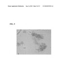 System and method for a hydrogel and hydrogel composite for cartilage repair applications diagram and image