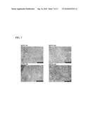 System and method for a hydrogel and hydrogel composite for cartilage repair applications diagram and image