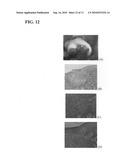 System and method for a hydrogel and hydrogel composite for cartilage repair applications diagram and image