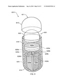 MULTI-PHASE, MULTI-COMPARTMENT, CAPSULAR DELIVERY APPARATUS AND METHODS FOR USING THE SAME diagram and image