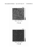 IMMOBILIZATION OF METAL NANOPARTICLES diagram and image
