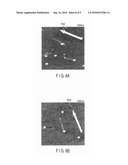 IMMOBILIZATION OF METAL NANOPARTICLES diagram and image
