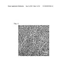 NOBLE METAL SINGLE CRYSTALLINE NANOWIRE AND THE FABRICATION METHOD THEREOF diagram and image