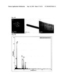 NOBLE METAL SINGLE CRYSTALLINE NANOWIRE AND THE FABRICATION METHOD THEREOF diagram and image