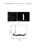 NOBLE METAL SINGLE CRYSTALLINE NANOWIRE AND THE FABRICATION METHOD THEREOF diagram and image