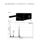 NOBLE METAL SINGLE CRYSTALLINE NANOWIRE AND THE FABRICATION METHOD THEREOF diagram and image