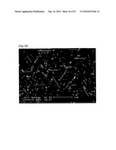 NOBLE METAL SINGLE CRYSTALLINE NANOWIRE AND THE FABRICATION METHOD THEREOF diagram and image