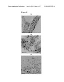 Process for the Electrochemical Catalysts of Fuel Cells Based on Polymer Electrolytes diagram and image