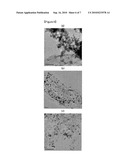 Process for the Electrochemical Catalysts of Fuel Cells Based on Polymer Electrolytes diagram and image