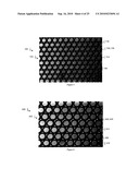 DEVICES AND METHODS FOR DIAGNOSING, PROGNOSING, OR THERANOSING A CONDITION BY ENRICHING RARE CELLS diagram and image