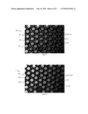 DEVICES AND METHODS FOR DIAGNOSING, PROGNOSING, OR THERANOSING A CONDITION BY ENRICHING RARE CELLS diagram and image