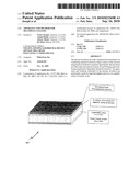 APPARATUS AND METHOD FOR MULTIPLEX ANALYSIS diagram and image