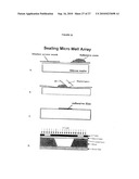 APPARATUS AND METHOD FOR MULTIPLEX ANALYSIS diagram and image