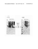 Process for Producing Poly-y-Glutamic Acid Having High Optical Purity diagram and image