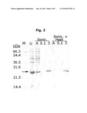 NOVEL METHOD FOR PROTEIN PURIFICATION diagram and image