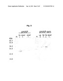 NOVEL METHOD FOR PROTEIN PURIFICATION diagram and image