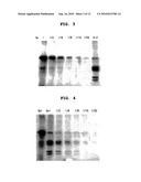 Method and Kit for Isolating and Fractioning Phosphoproteins diagram and image