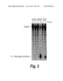 IN VIVO PRODUCTION OF SMALL INTERFERING RNAS THAT MEDIATE GENE SILENCING diagram and image