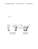 MULTIPURPOSE ANALYSIS USING SECOND HARMONIC GENERATING NANOPROBES diagram and image