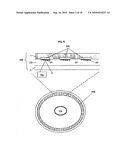 BIO DISC, BIO-DRIVER APPARATUS, AND ASSAY METHOD USING THE SAME diagram and image