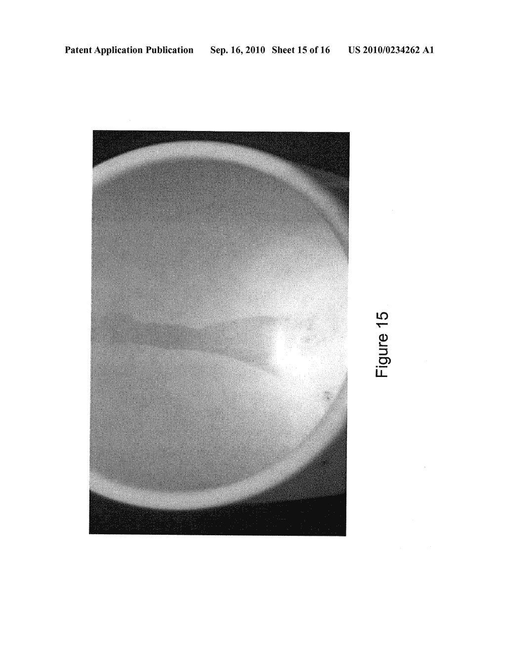 CLEANING COMPOSITIONS CONTAINING WATER SOLUBLE MAGNESIUM COMPOUNDS AND METHODS OF USING THEM - diagram, schematic, and image 16