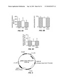 LIGHT-ACTIVATED CATION CHANNEL AND USES THEREOF diagram and image