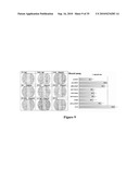 IMMUNOGENIC EPITOPES, PEPTIDOMIMETICS, AND ANTI-PEPTIDE ANTIBODIES, AND METHODS OF THEIR USE diagram and image