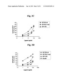 Stabilized Insulin-like Growth Factor Polypeptides diagram and image