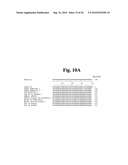 Stabilized Insulin-like Growth Factor Polypeptides diagram and image