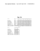 Stabilized Insulin-like Growth Factor Polypeptides diagram and image