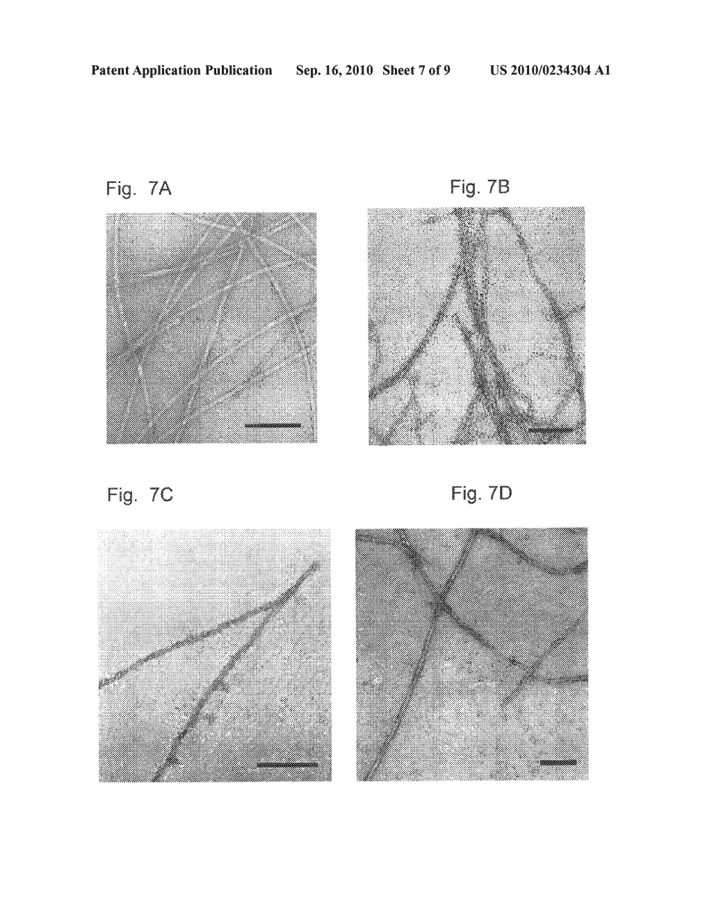 BETA SHEET TAPES RIBBONS IN TISSUE ENGINEERING - diagram, schematic, and image 08